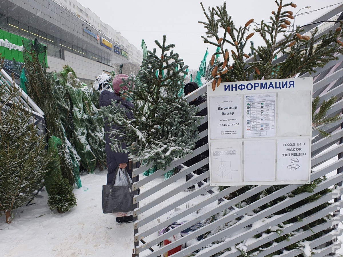 Когда открываются елочные базары